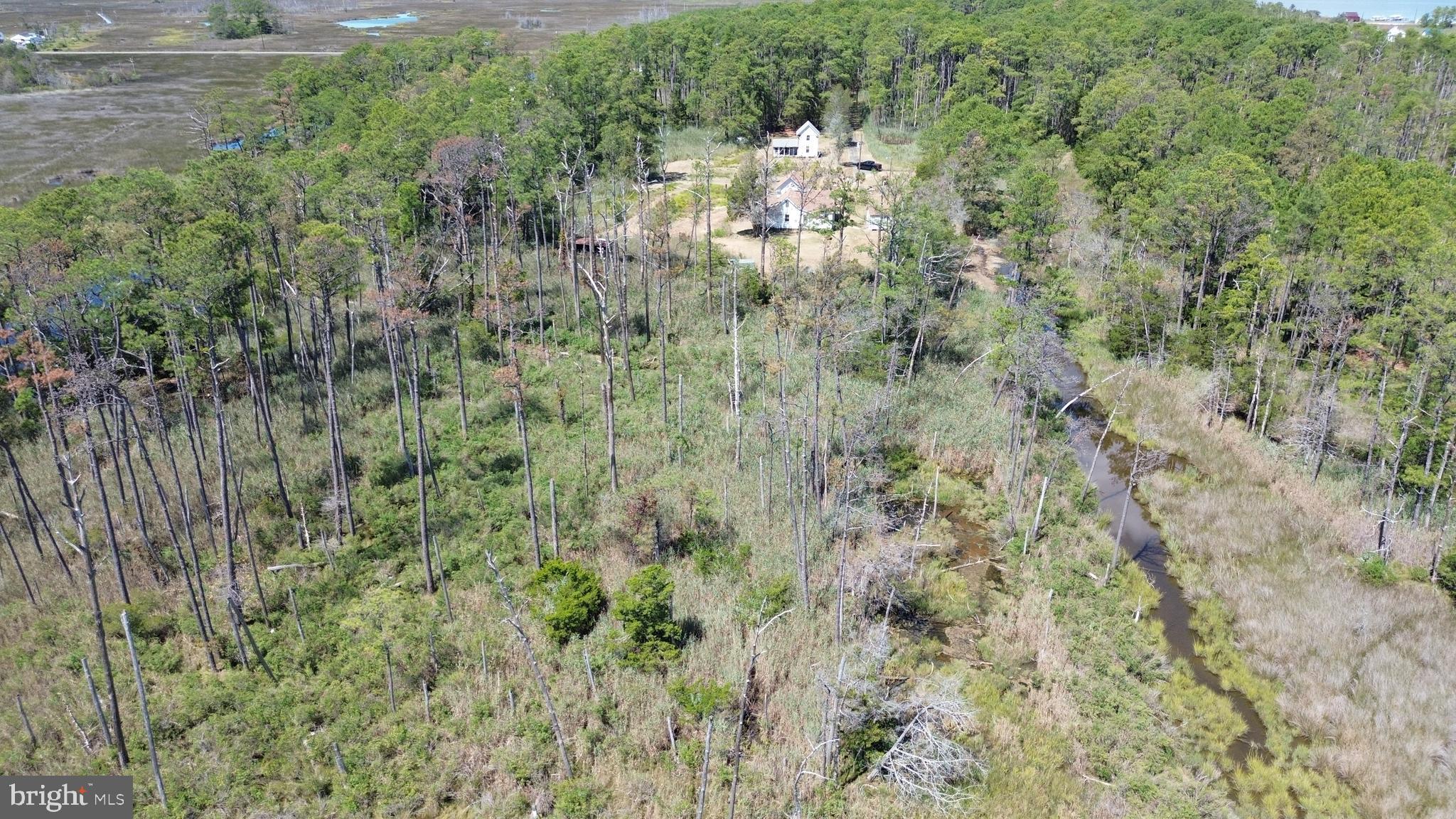 Brady Todd Road Crocheron, MD 21627 - Photo 75 of 111 a view of a house with a lush green forest