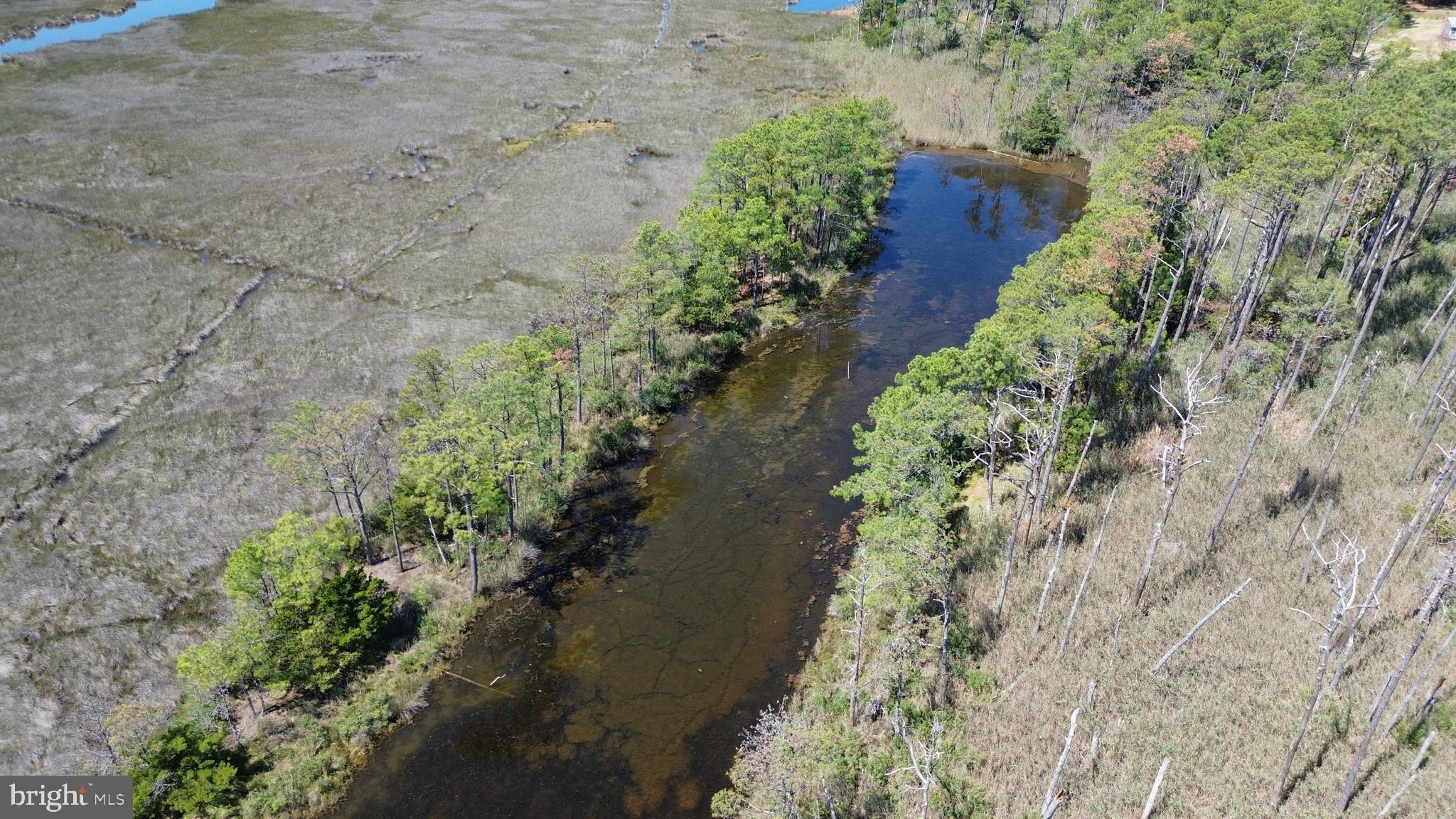 Brady Todd Road Crocheron, MD 21627 - Photo 76 of 111