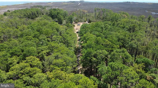 $375,000 | Brady Todd Road, Crocheron, MD 21627