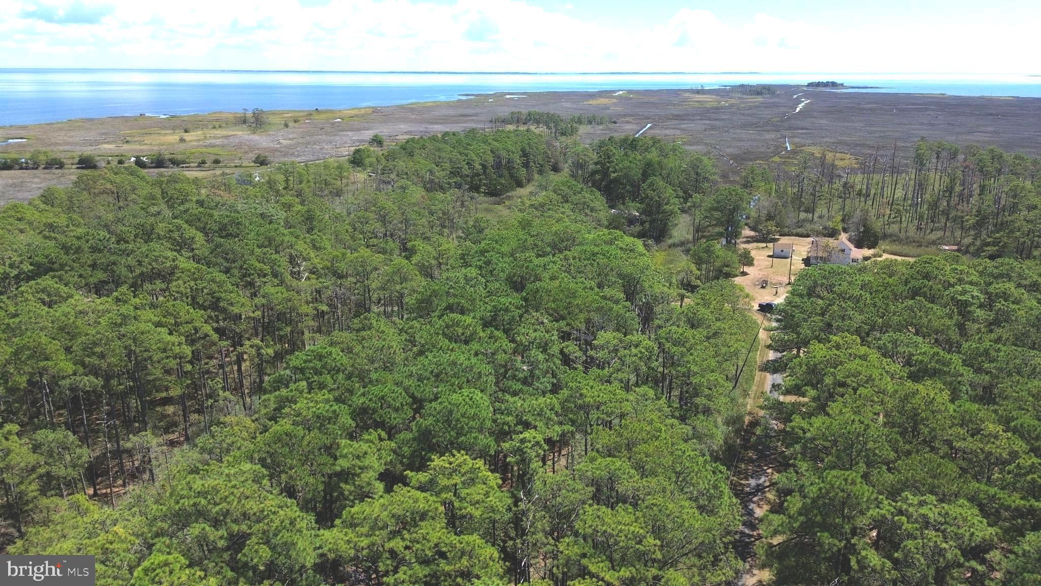 Brady Todd Road Crocheron, MD 21627 - Photo 79 of 111