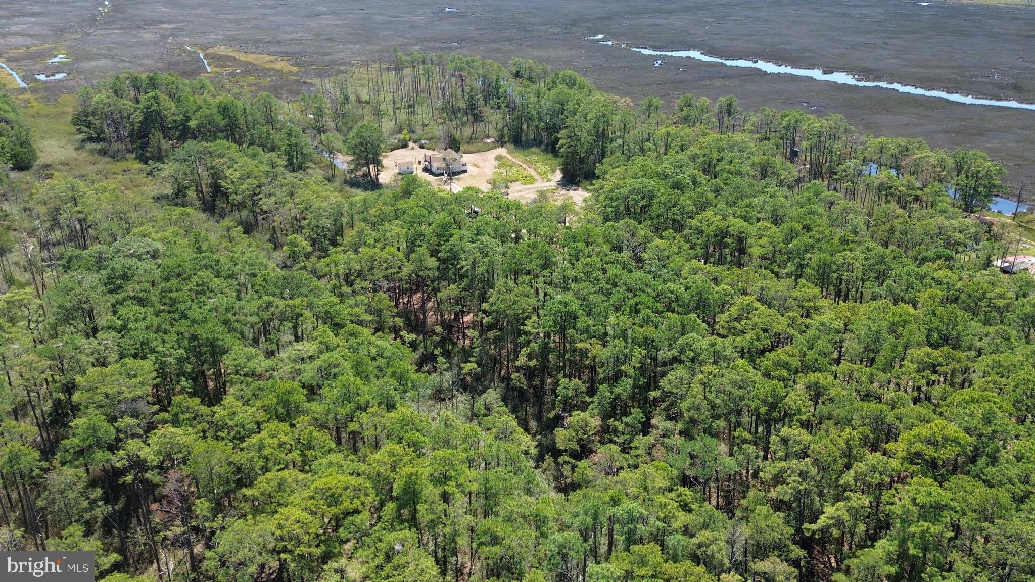 Brady Todd Road Crocheron, MD 21627 - Photo 80 of 111