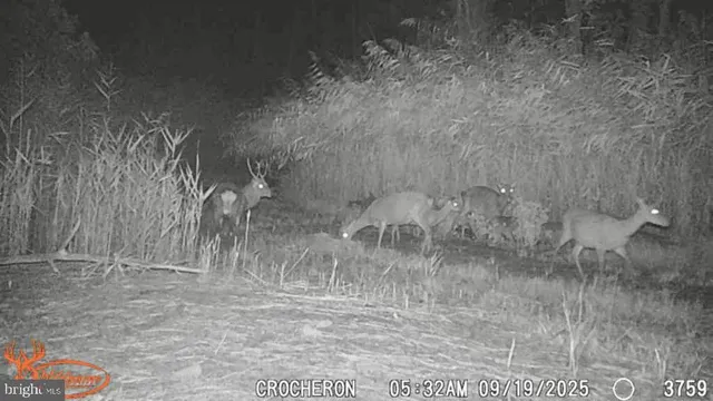 a bathroom with a glass door shower