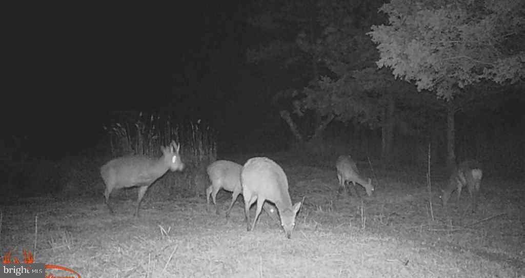 Brady Todd Road Crocheron, MD 21627 - Photo 81 of 111