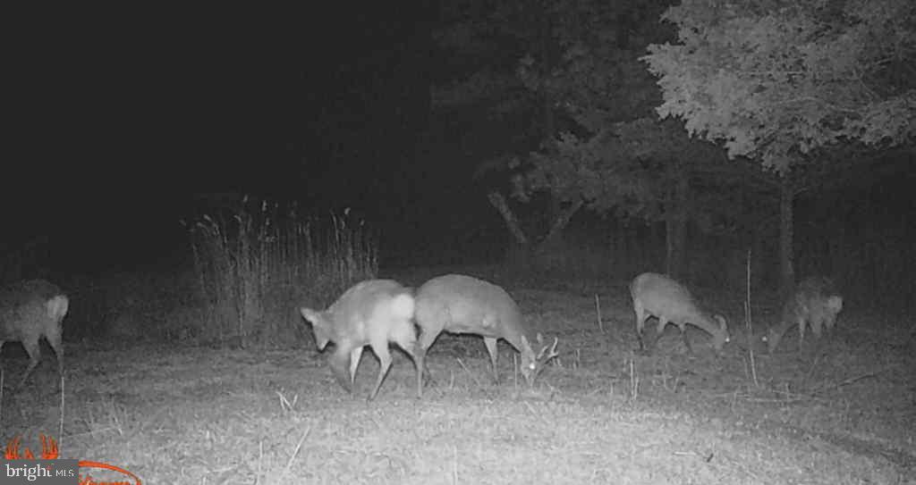 Brady Todd Road Crocheron, MD 21627 - Photo 82 of 111