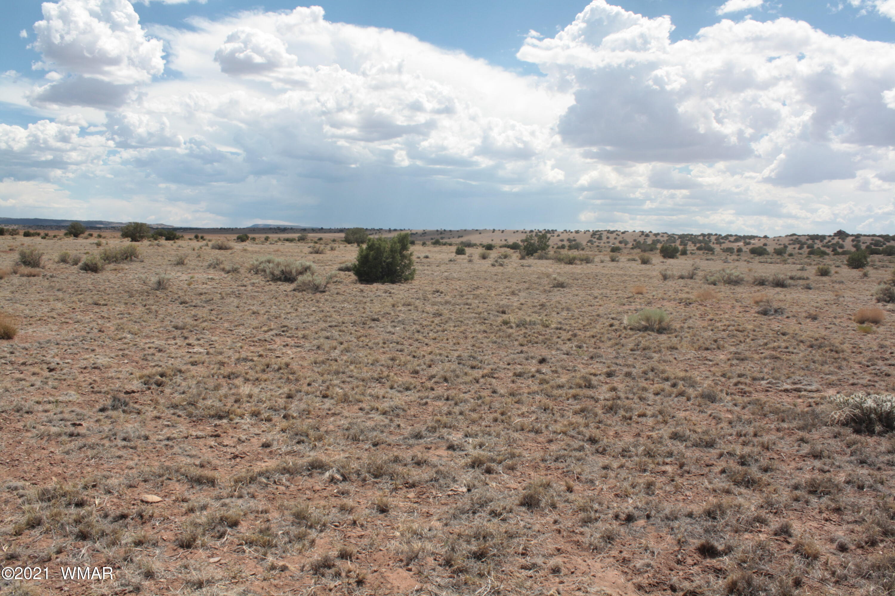 9016-366b Woodridge Ranch, Unit 9 Concho, AZ 85924 - Photo 8 of 9
