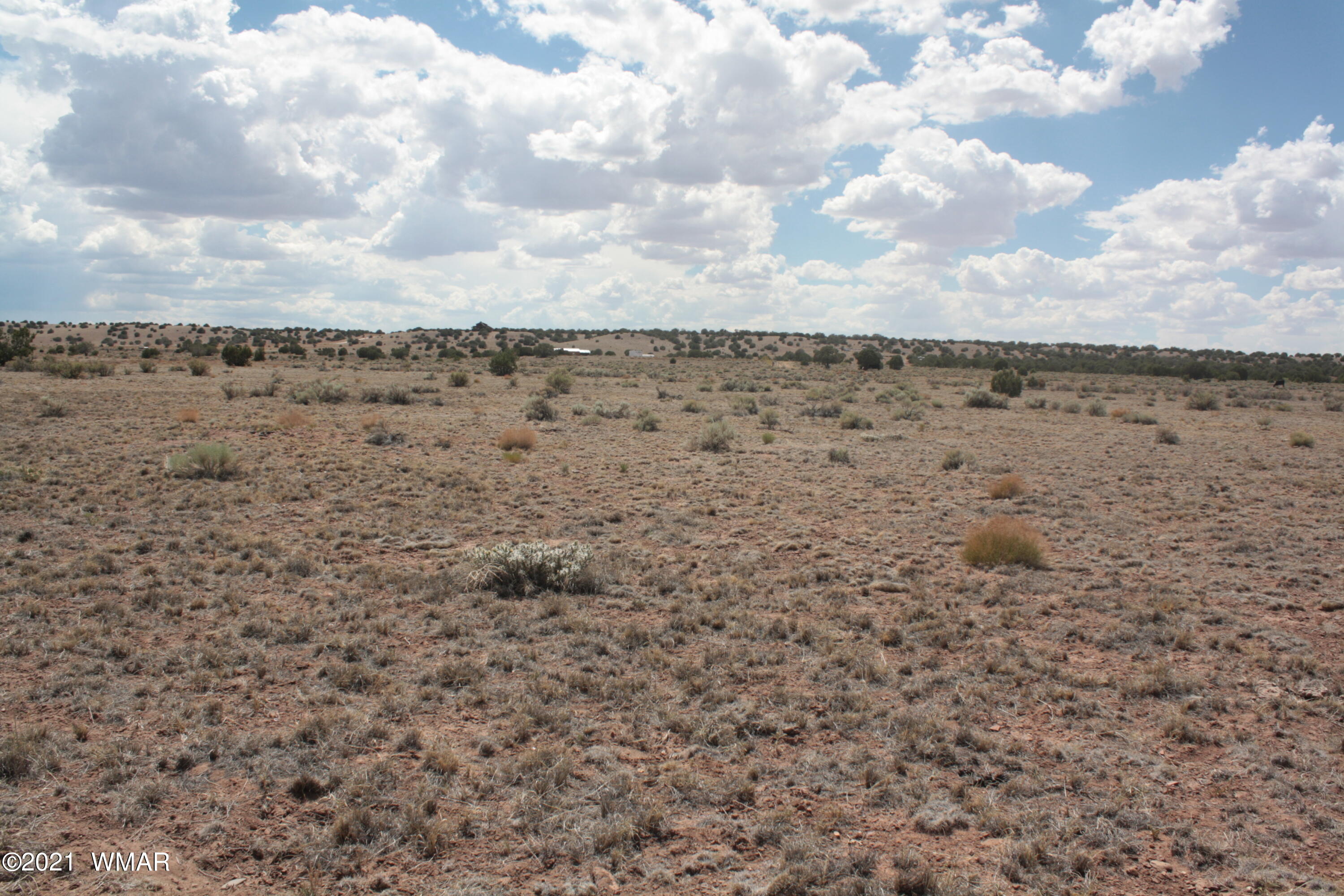 9016-366b Woodridge Ranch, Unit 9 Concho, AZ 85924 - Photo 9 of 9