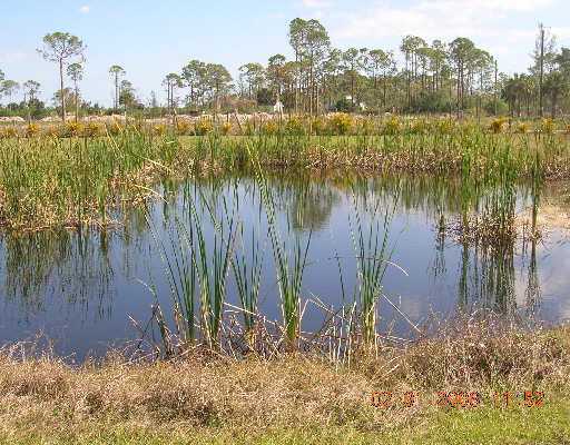 14885 N Road Loxahatchee, FL 33470 - Photo 5 of 6 Additional Photo