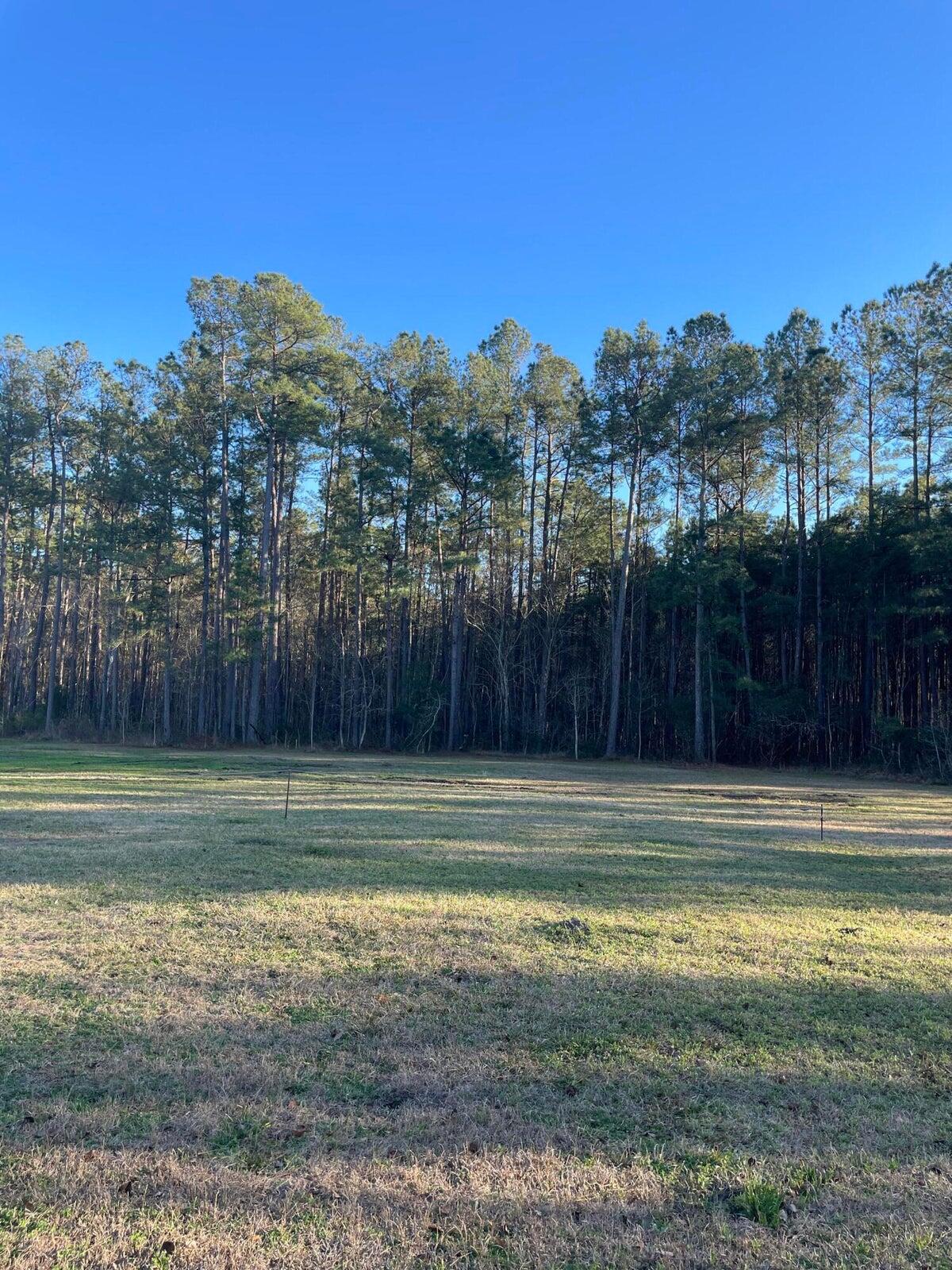 2381 Cooper Store Road Moncks Corner, SC 29461 - Photo 11 of 12 IMG_0875