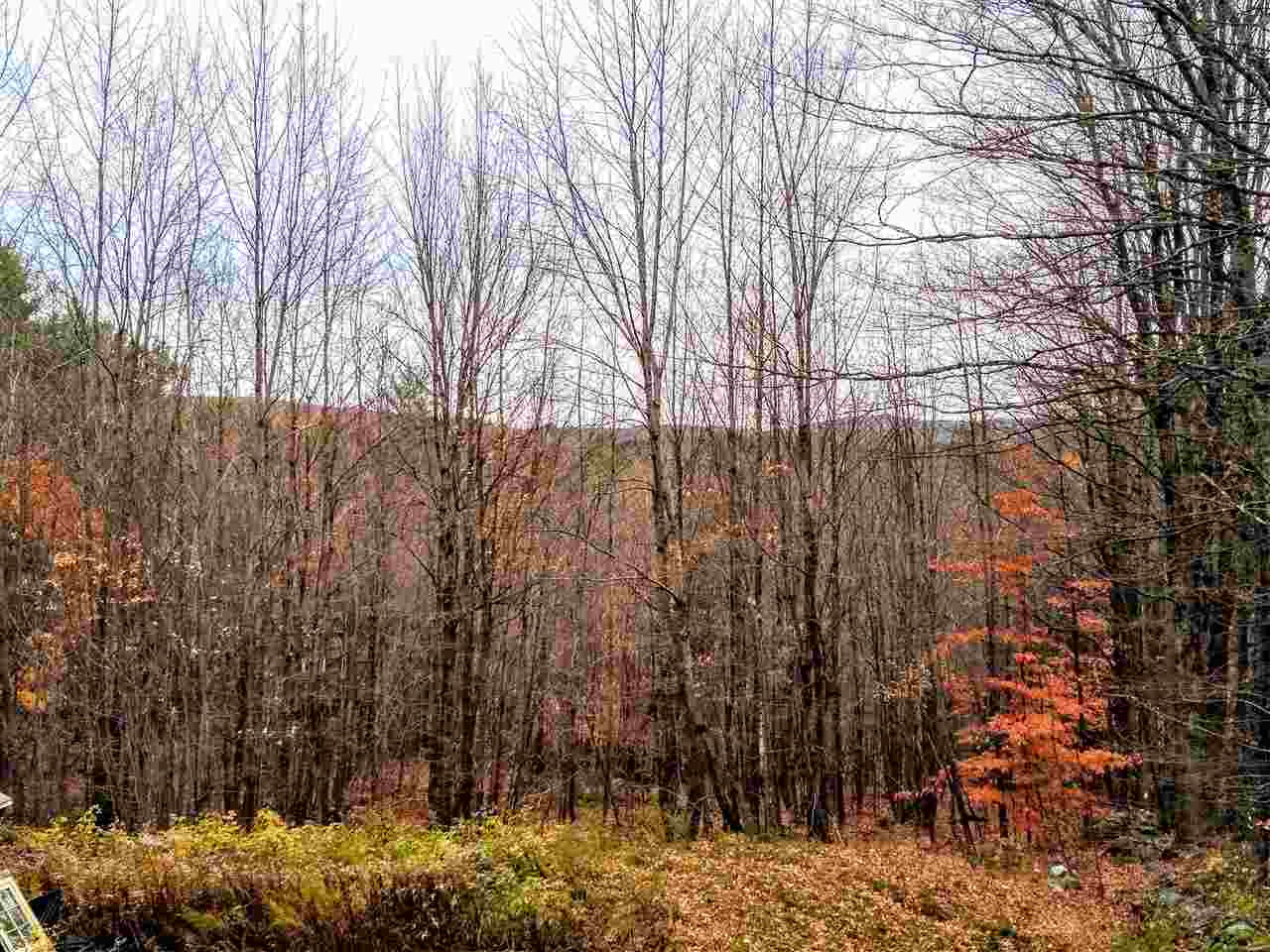 190 Sand Pond Road Marlow, NH 03456 - Photo 22 of 23 Gallery Image 22