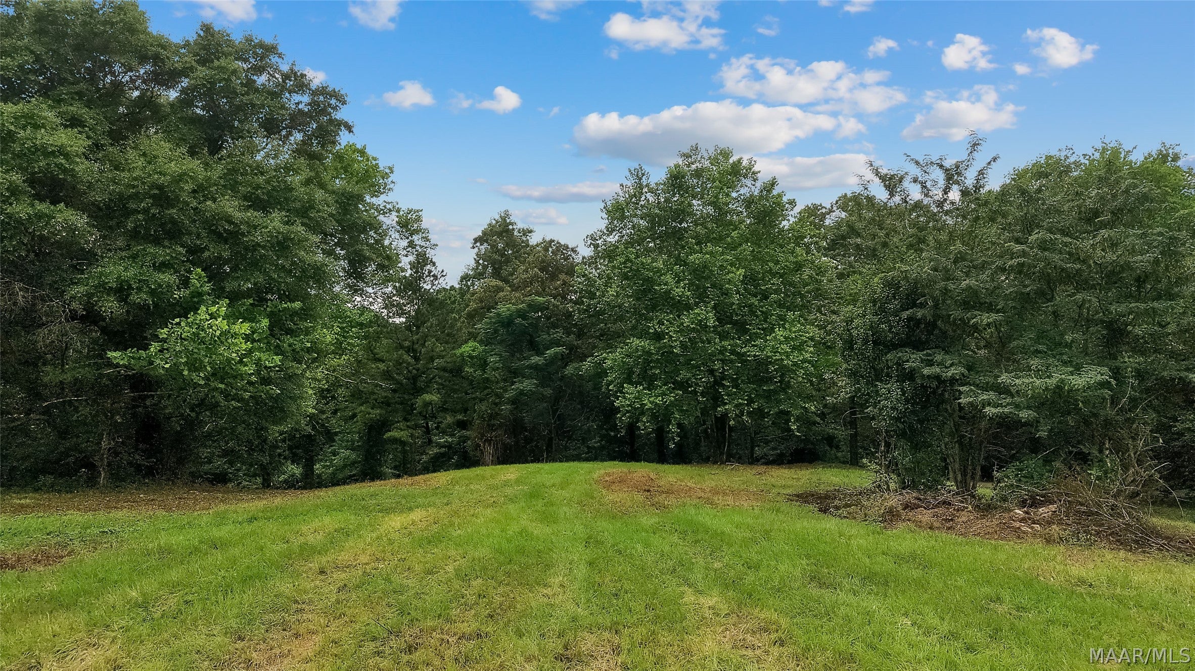 0 Upper Kingston Road Prattville, AL 36067 - Photo 8 of 16 Gallery Image 8