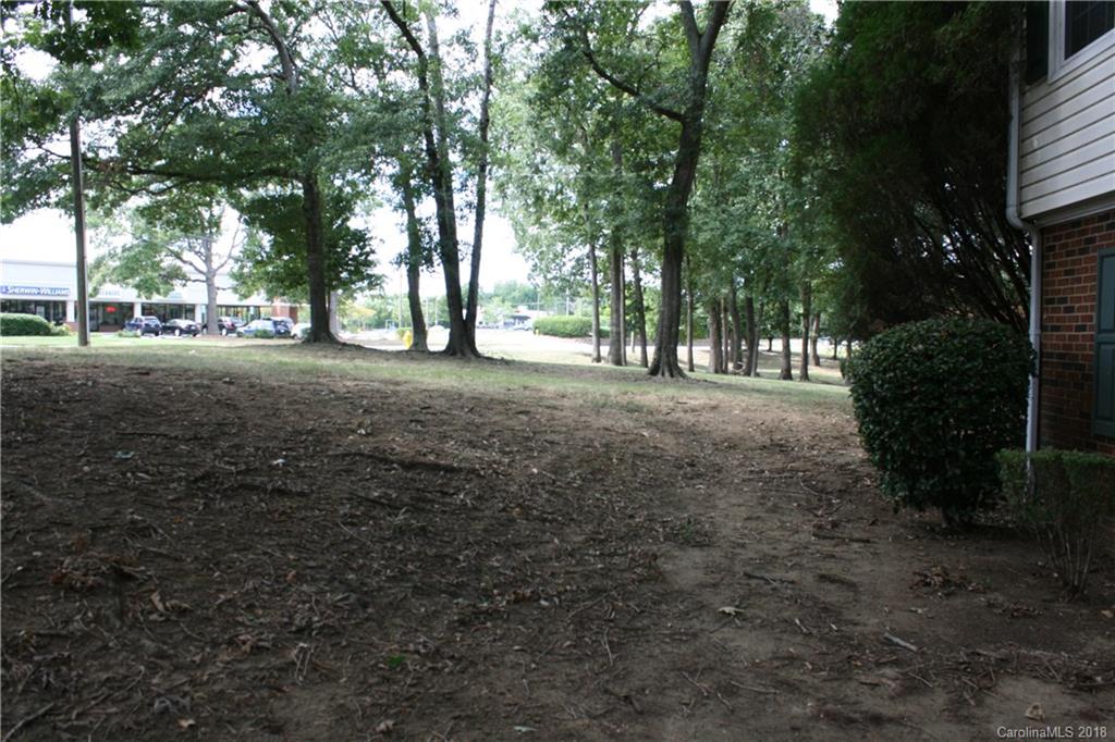 10943 Park Road Charlotte, NC 28226 - Photo 28 of 31 a view of dirt yard with a trees