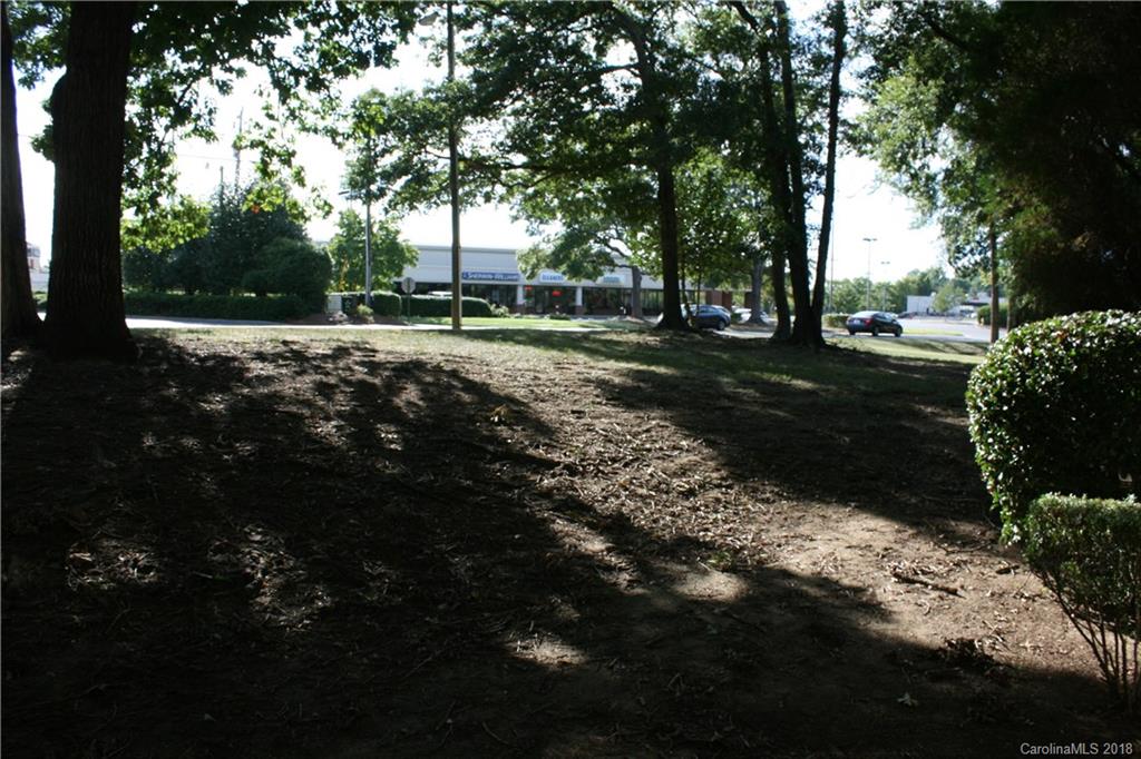 10943 Park Road Charlotte, NC 28226 - Photo 29 of 31 a view of outdoor space with green space