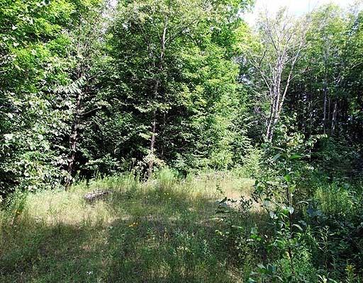 Lot 15 Baker Ridge Road Danforth, ME 04424 - Photo 15 of 23 Photo