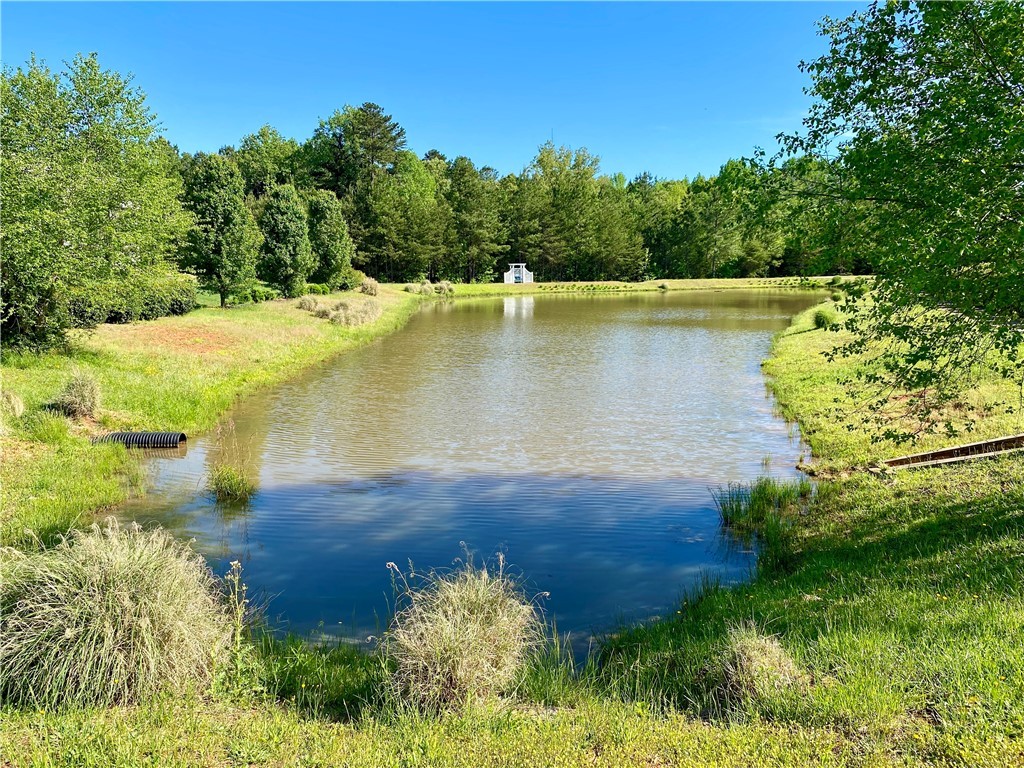 53 Angus Run Seneca, SC 29672 - Photo 45 of 49 Walk Along This Pond To....