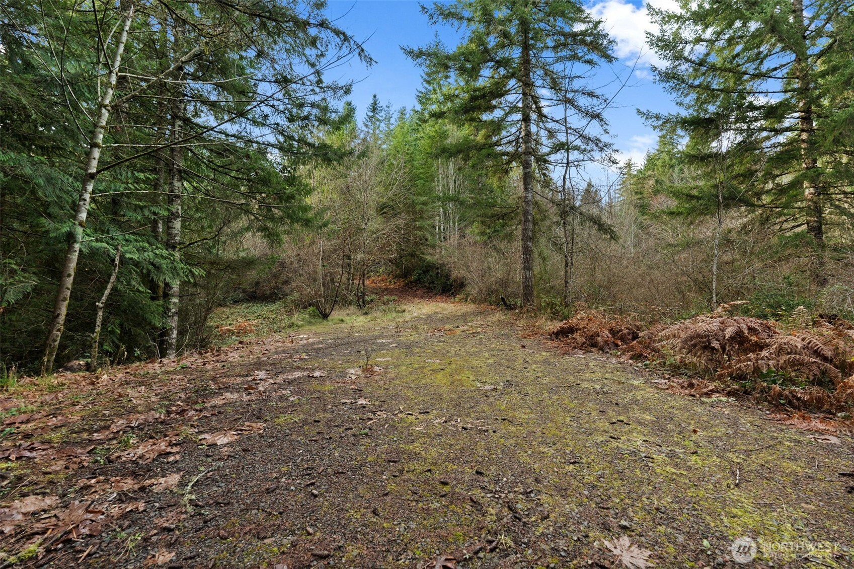 0 Willow Road Southeast Port Orchard, WA 98367 - Photo 2 of 12