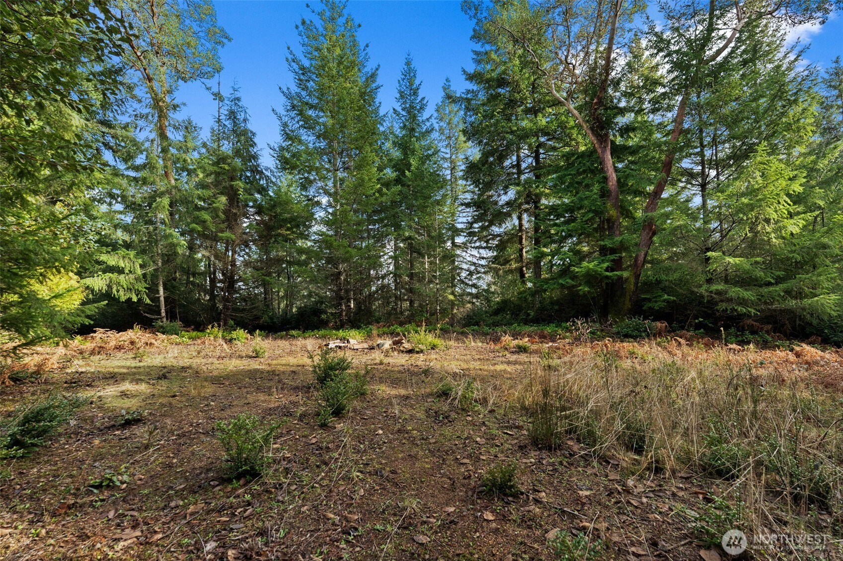 0 Willow Road Southeast Port Orchard, WA 98367 - Photo 8 of 12