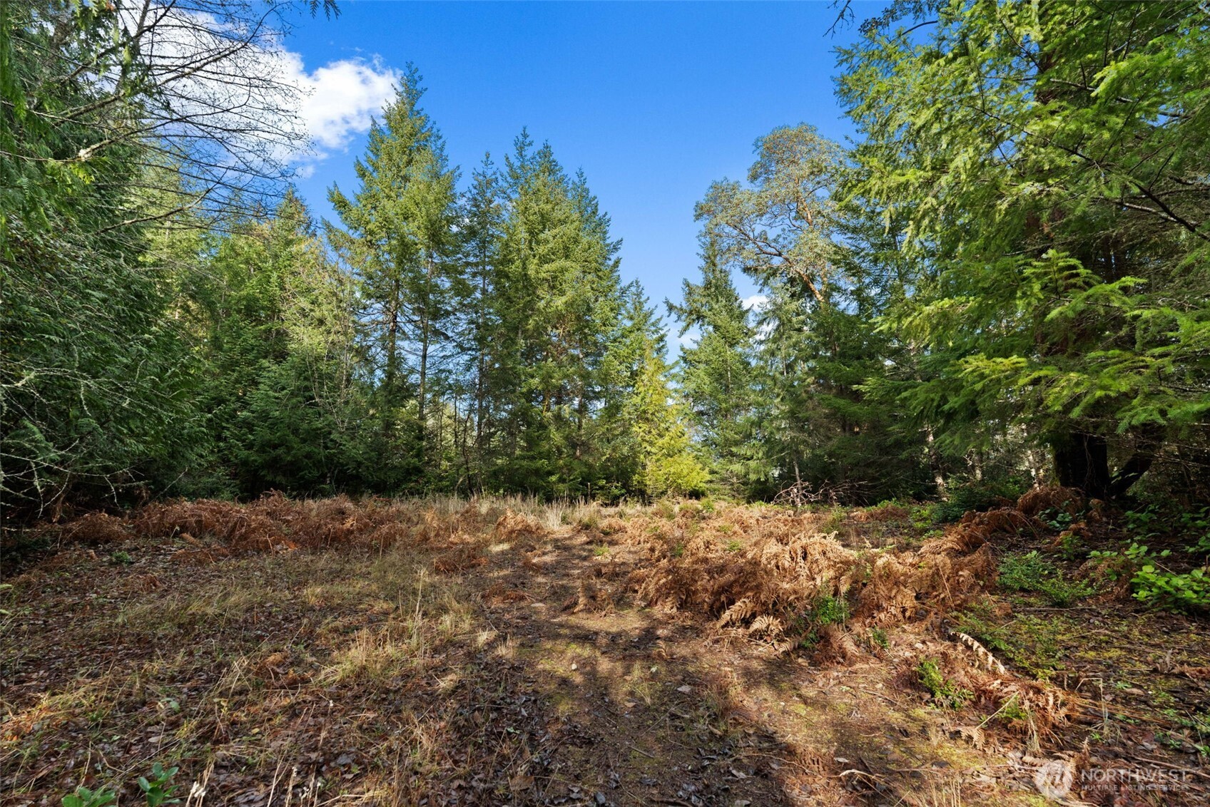 0 Willow Road Southeast Port Orchard, WA 98367 - Photo 10 of 12