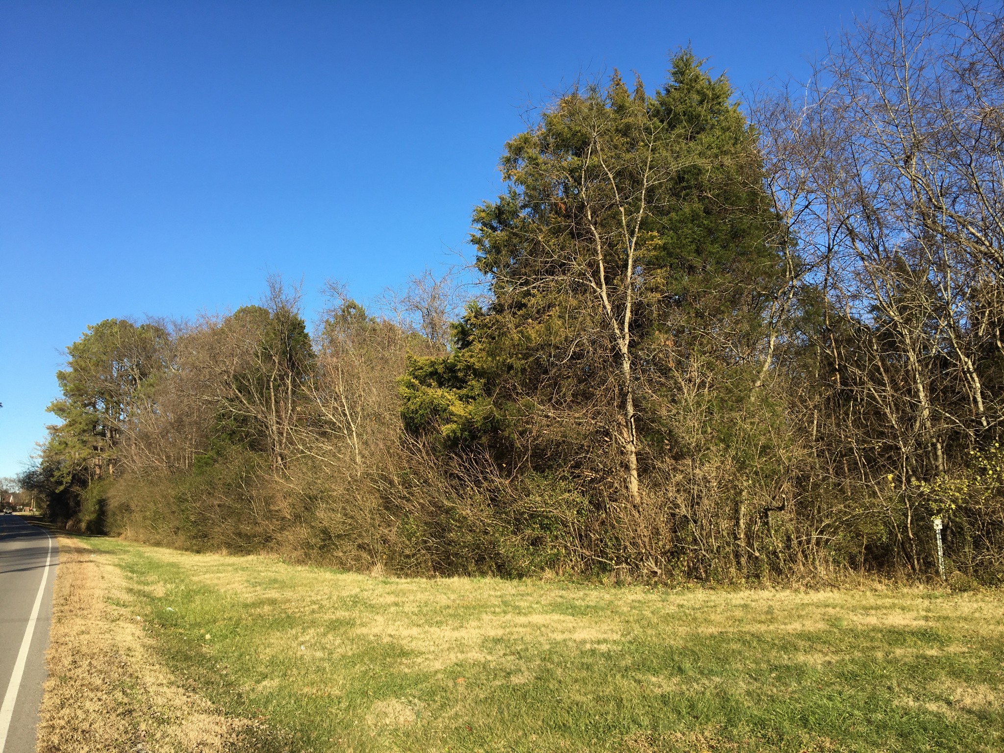 9800 Florence Road Smyrna, TN 37167 - Photo 8 of 8 a view of a yard with large trees