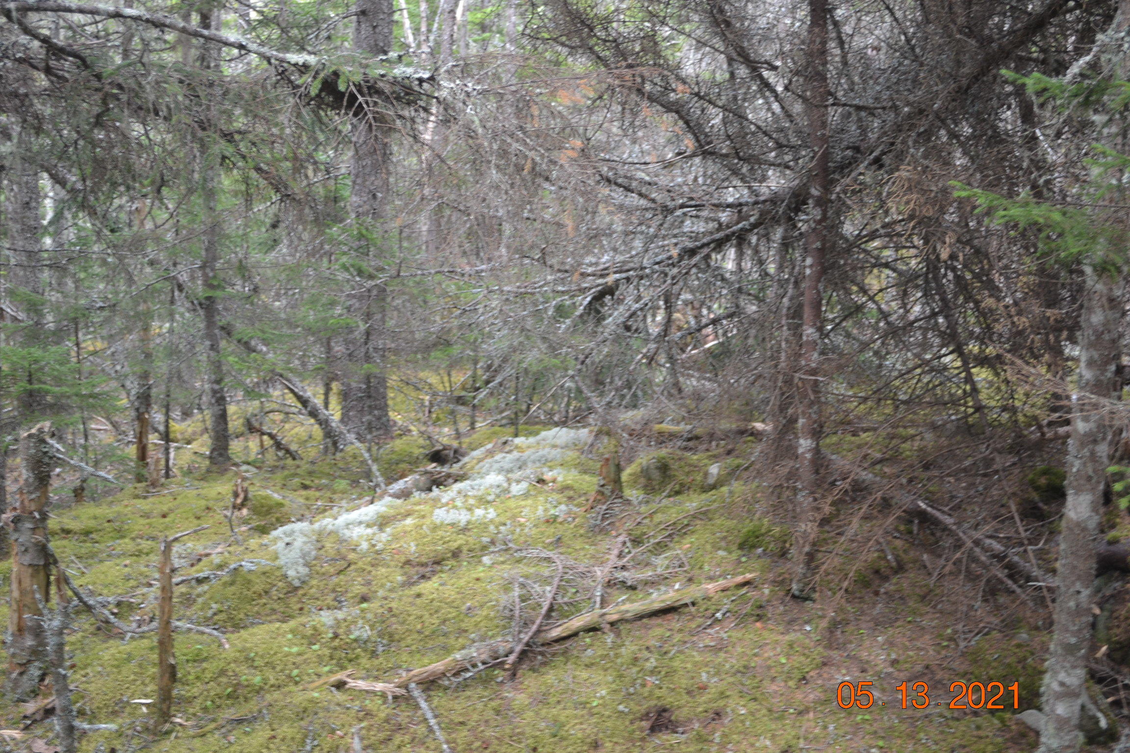 Lot 17-4 Destiny Bay Road Cutler, ME 04626 - Photo 9 of 13 DSC_0027