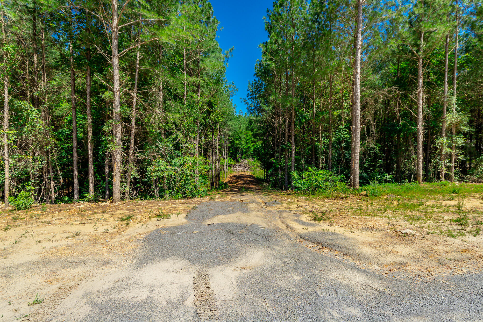 0 Split Rail Way, Unit LOT 1163 Guild, TN 37340 - Photo 21 of 118 River Gorge Lot 1163 HD-4