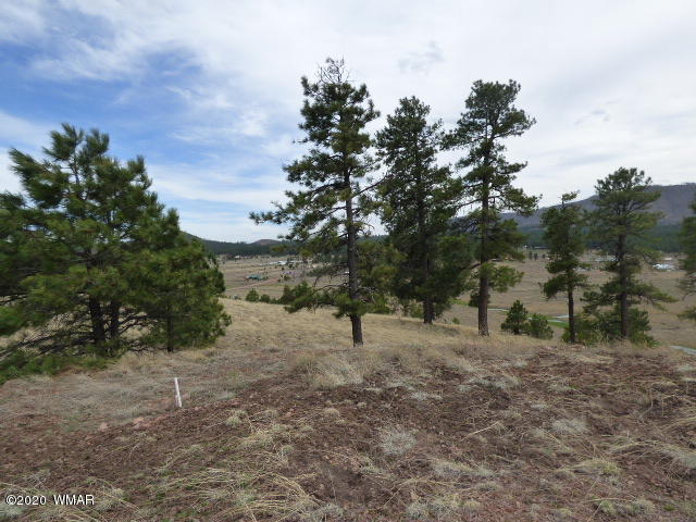 Lot 10 The Ranch Alpine, AZ 85920 - Photo 5 of 26