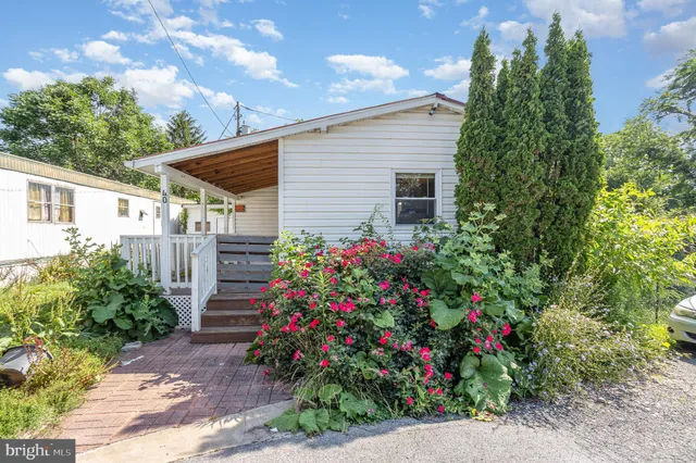 a view of a garden with flowers