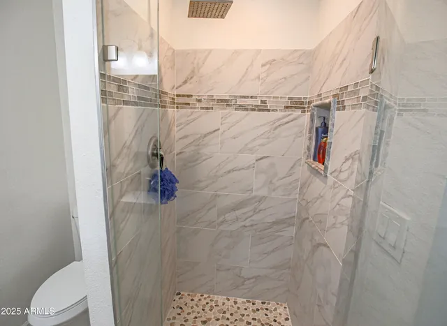 a bathroom with a shower and toilet