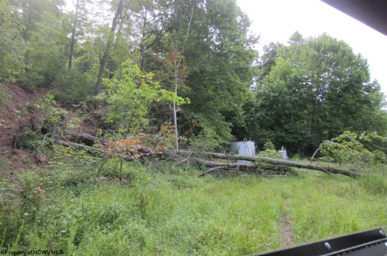 886 Jackson Mill Road Jane Lew, WV 26378 - Photo 10 of 20 Gallery Image 10