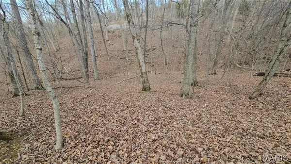 $35,000 | 1521 Lake Sherwood Drive, Lake Sherwood, MO 63357
