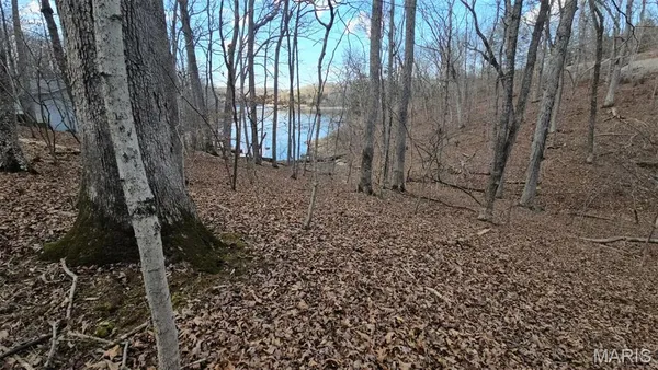 $35,000 | 1521 Lake Sherwood Drive, Lake Sherwood, MO 63357