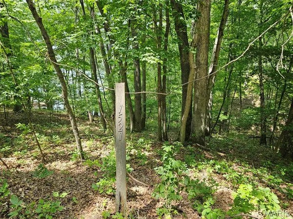 $35,000 | 1521 Lake Sherwood Drive, Lake Sherwood, MO 63357