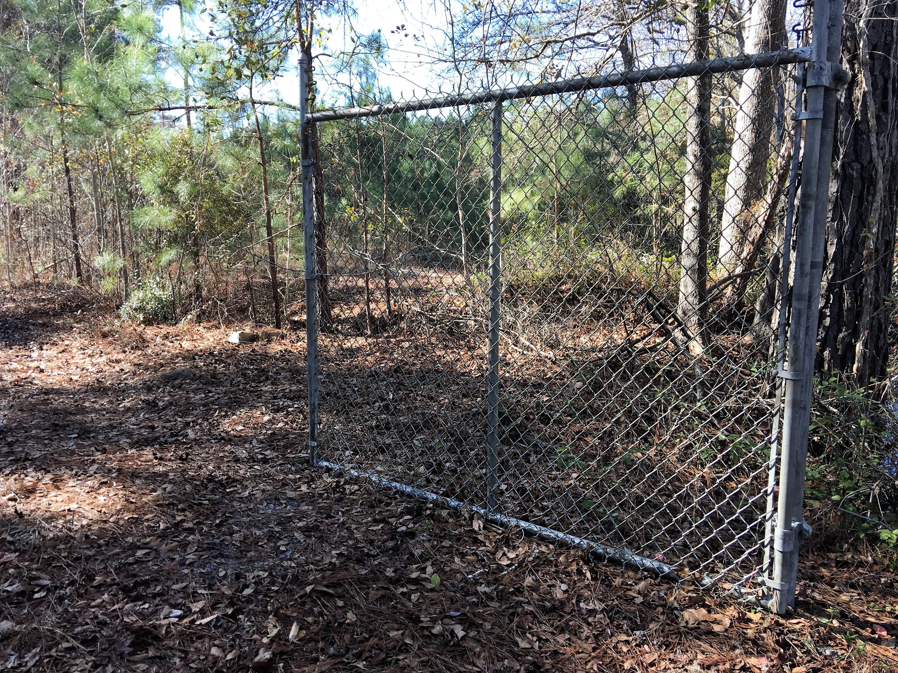 0 Mt Carmel Road Ruffin, SC 29475 - Photo 1 of 12 IMG_3825