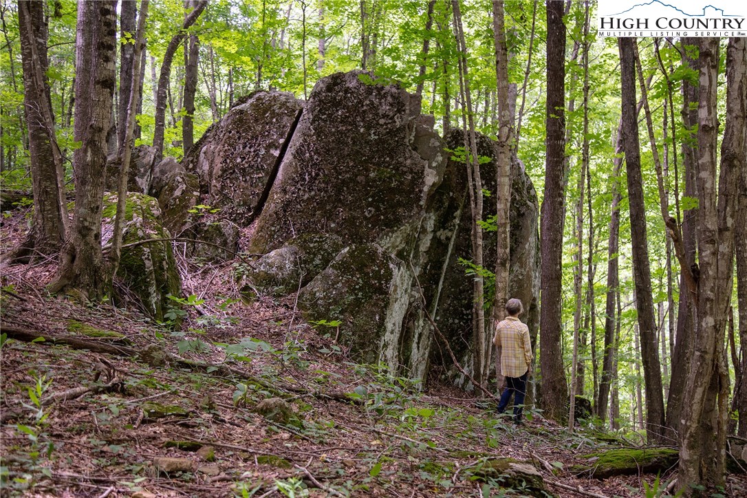 941-3 Ben Bolen Road Creston, NC 28615 - Photo 6 of 13 Gallery Image 6