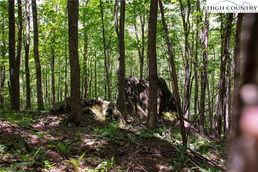 941-3 Ben Bolen Road Creston, NC 28615 - Photo 7 of 13 Gallery Image 7