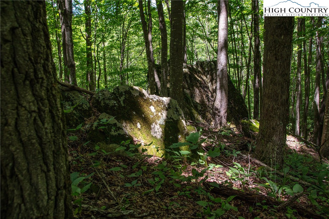 941-3 Ben Bolen Road Creston, NC 28615 - Photo 8 of 13 Gallery Image 8