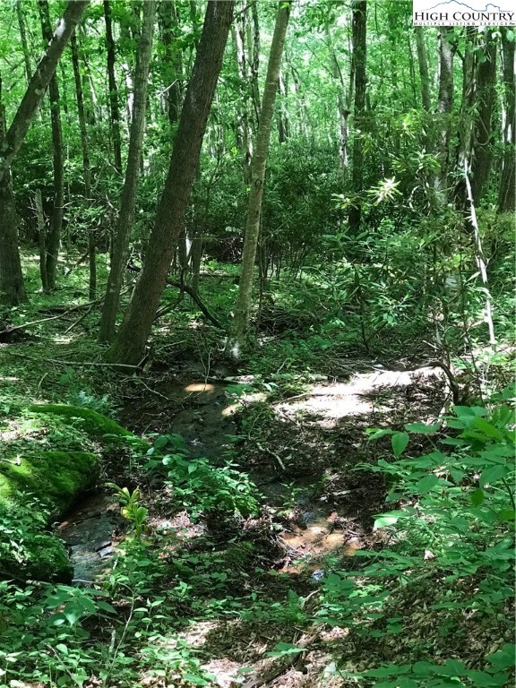 941-3 Ben Bolen Road Creston, NC 28615 - Photo 10 of 13 Gallery Image 10