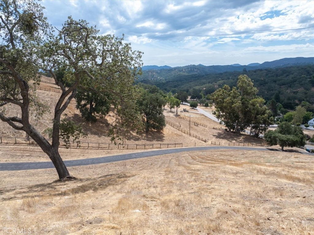 2955 San Fernando Road Atascadero, CA 93422 - Photo 48 of 62 a view of a yard with a tree