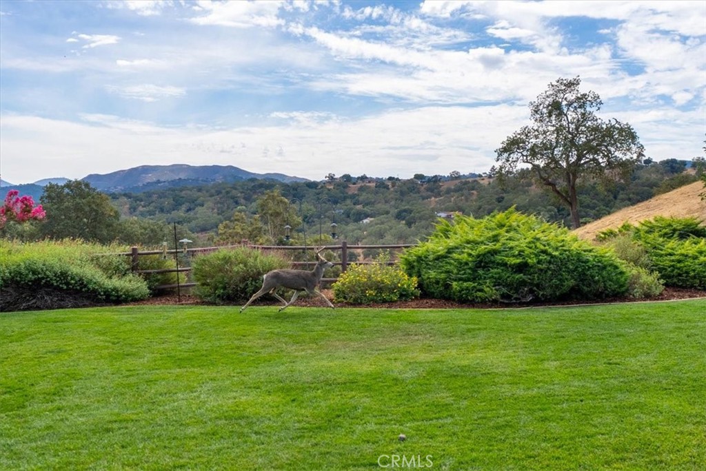 2955 San Fernando Road Atascadero, CA 93422 - Photo 55 of 62 a view of a garden with mountains in the background