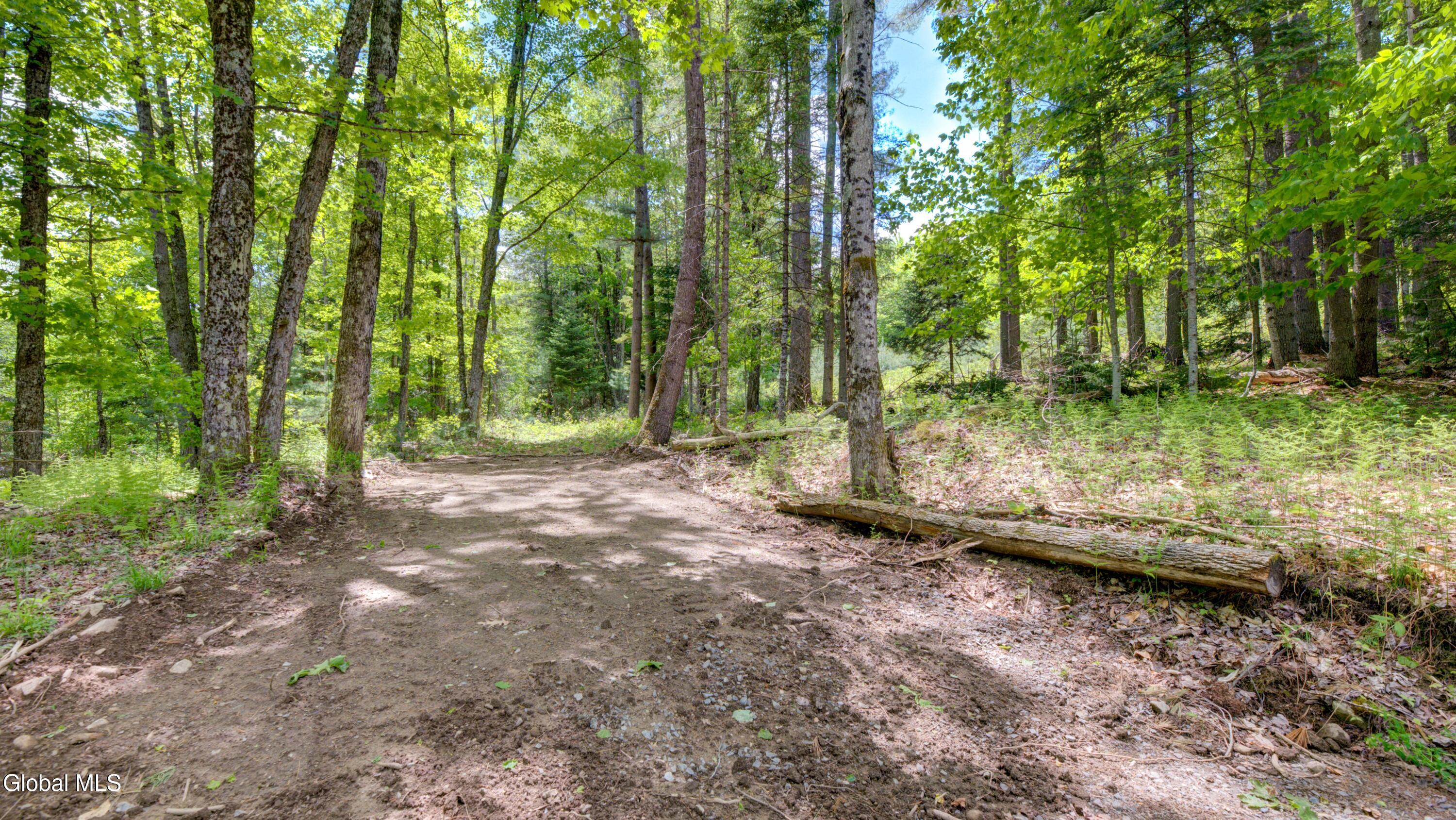 389 Windfall Road Wells, NY 12190 - Photo 24 of 24 389 Windfall Rd-9