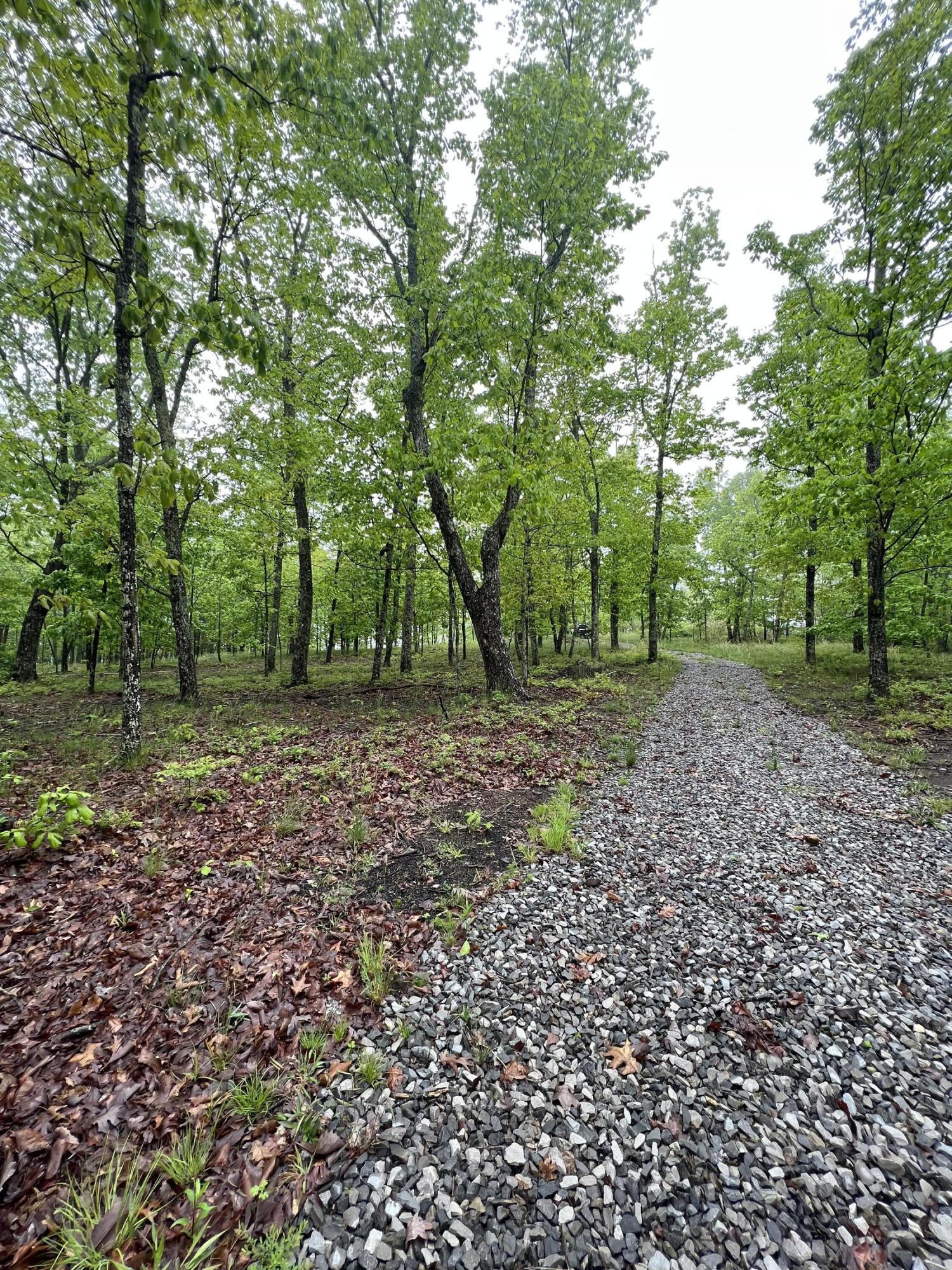 2427 Sunset Drive Rising Fawn, GA 30738 - Photo 4 of 12 A77A85E3-6876-449B-A762-AA73DD50105F
