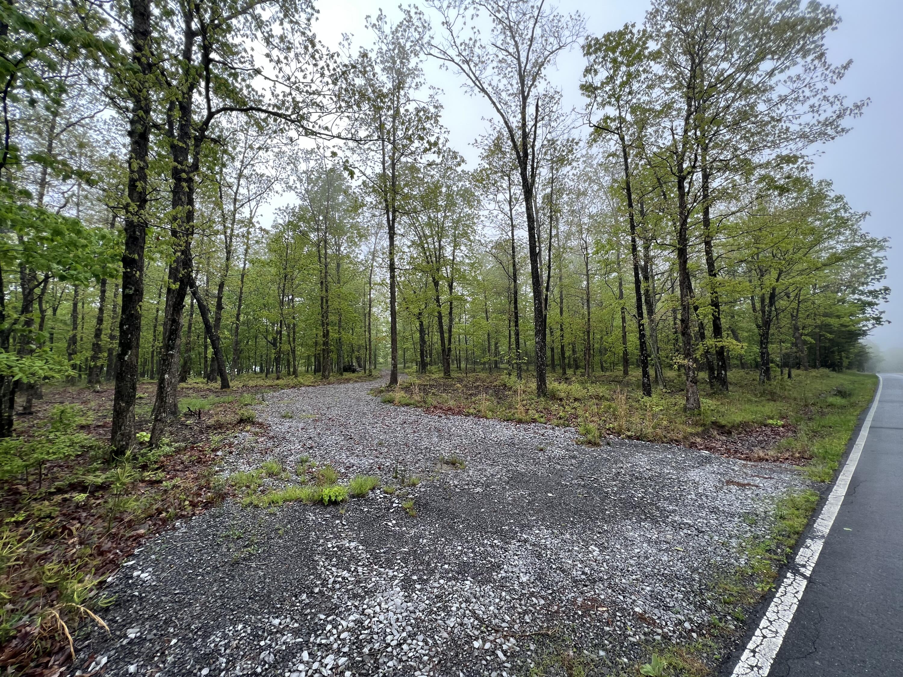 2427 Sunset Drive Rising Fawn, GA 30738 - Photo 5 of 12 2F88AD1C-720A-446C-9941-223485F3E2EF