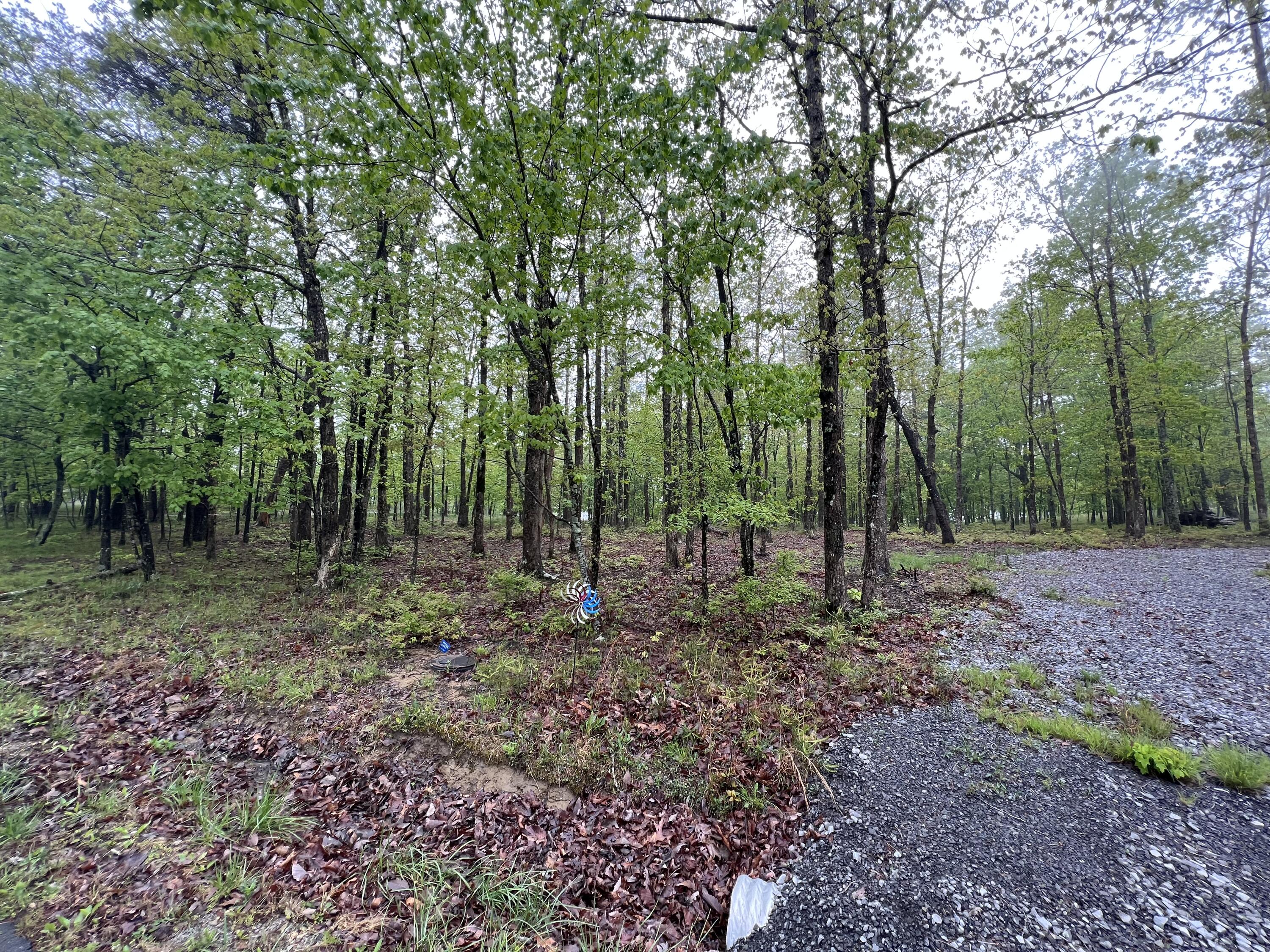 2427 Sunset Drive Rising Fawn, GA 30738 - Photo 7 of 12 4DA2DA24-B5A3-4208-93EB-0A84A707ECE7