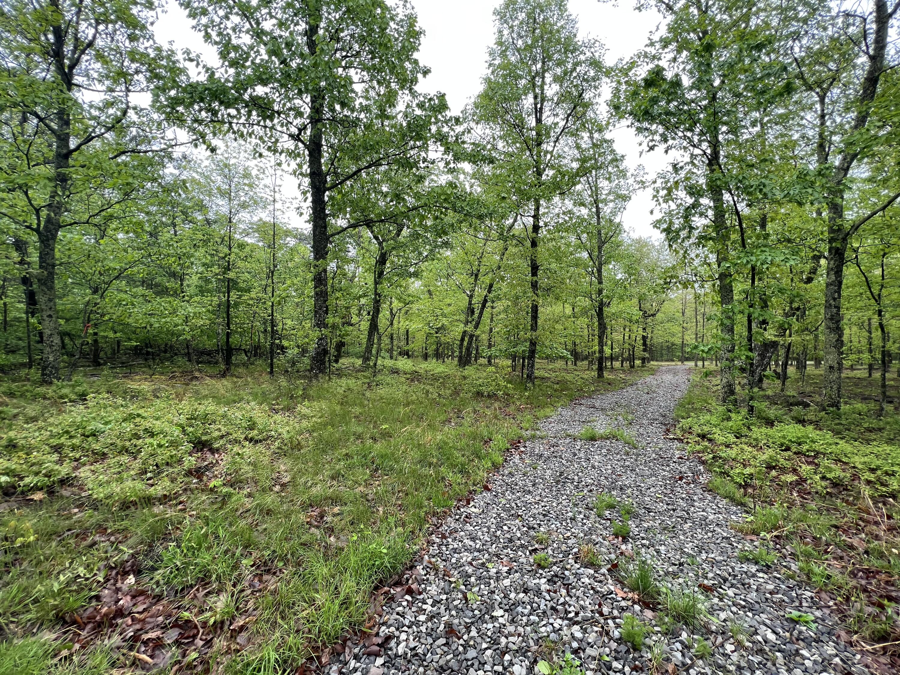 2427 Sunset Drive Rising Fawn, GA 30738 - Photo 10 of 12 42246181-DA45-45F3-B1CE-9527476E2C7E