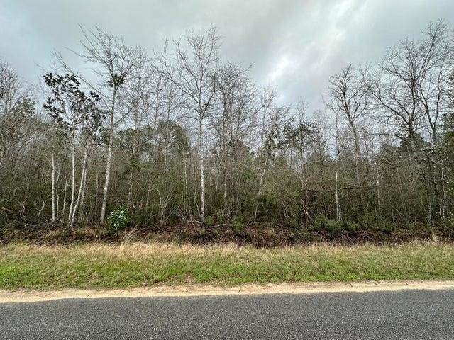 Tbd West Black Oak Road Milton, FL 32583 - Photo 2 of 3 Gallery Image 2