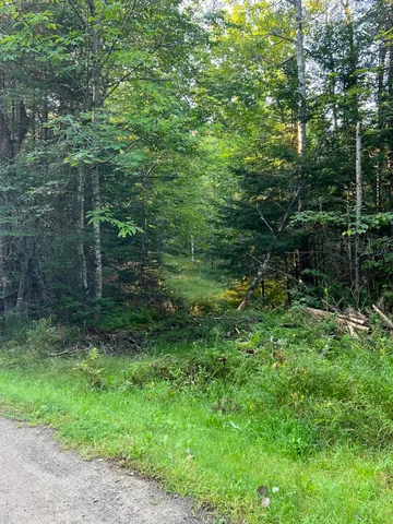 $75,000 | Map41-lot1 Wendy Acres Drive, Hermon, ME 04401
