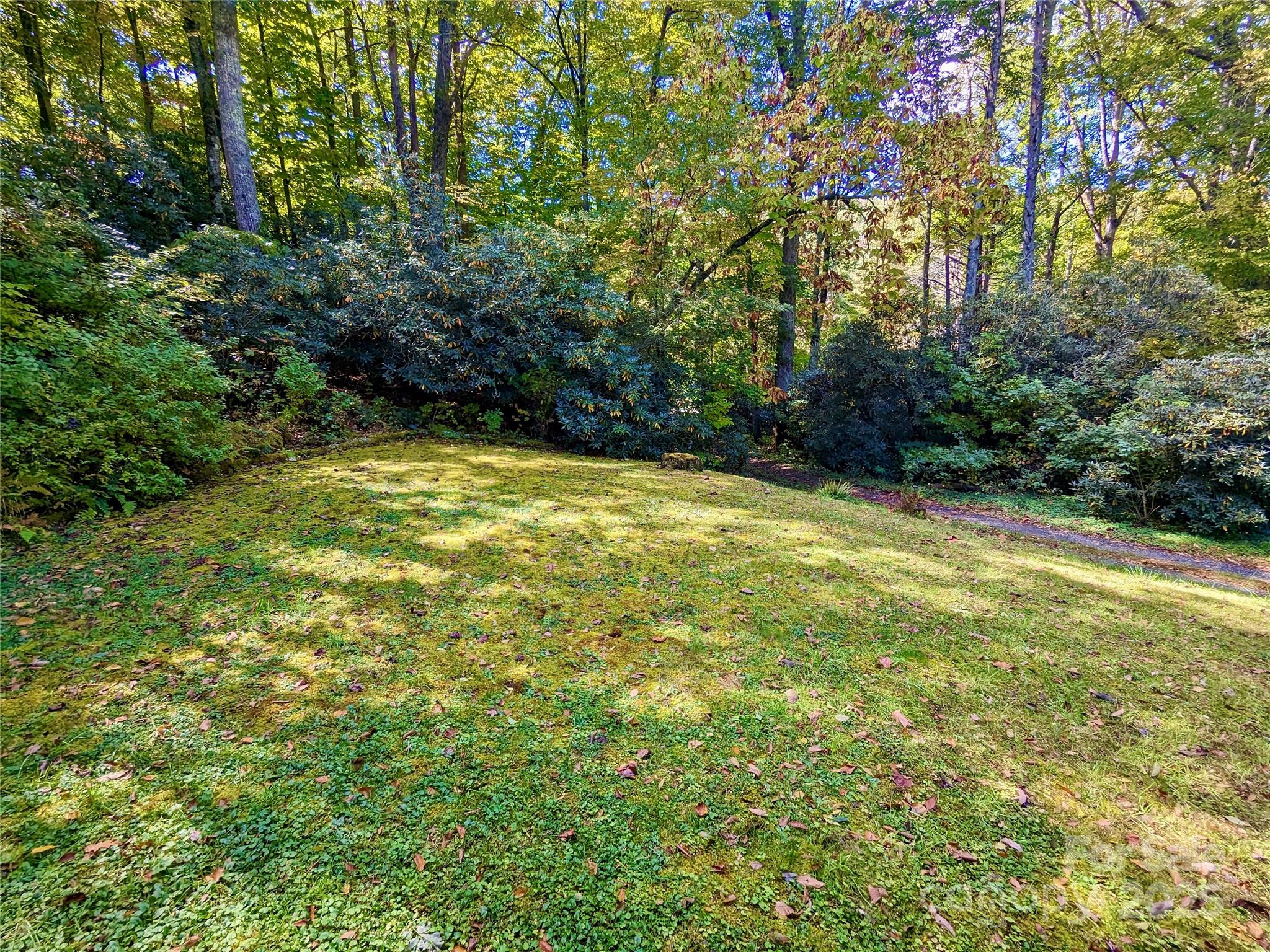 46 Tree Farm Road Spruce Pine, NC 28777 - Photo 30 of 40 a view of a yard with a house