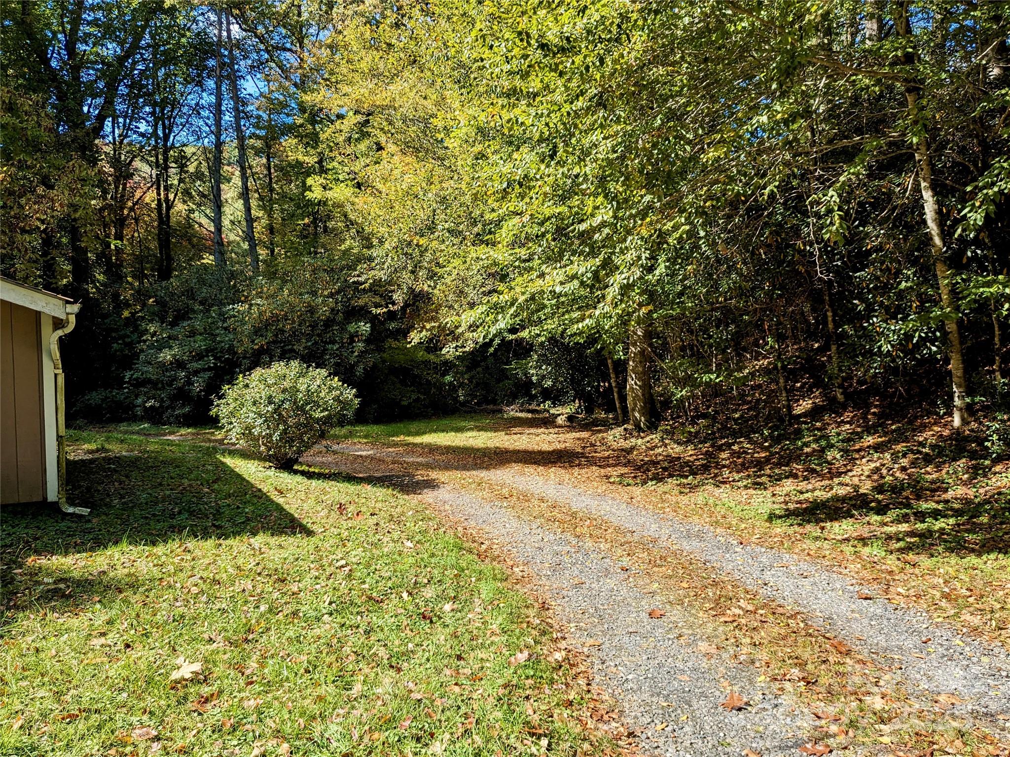 46 Tree Farm Road Spruce Pine, NC 28777 - Photo 31 of 40 a view of a yard with plants and trees