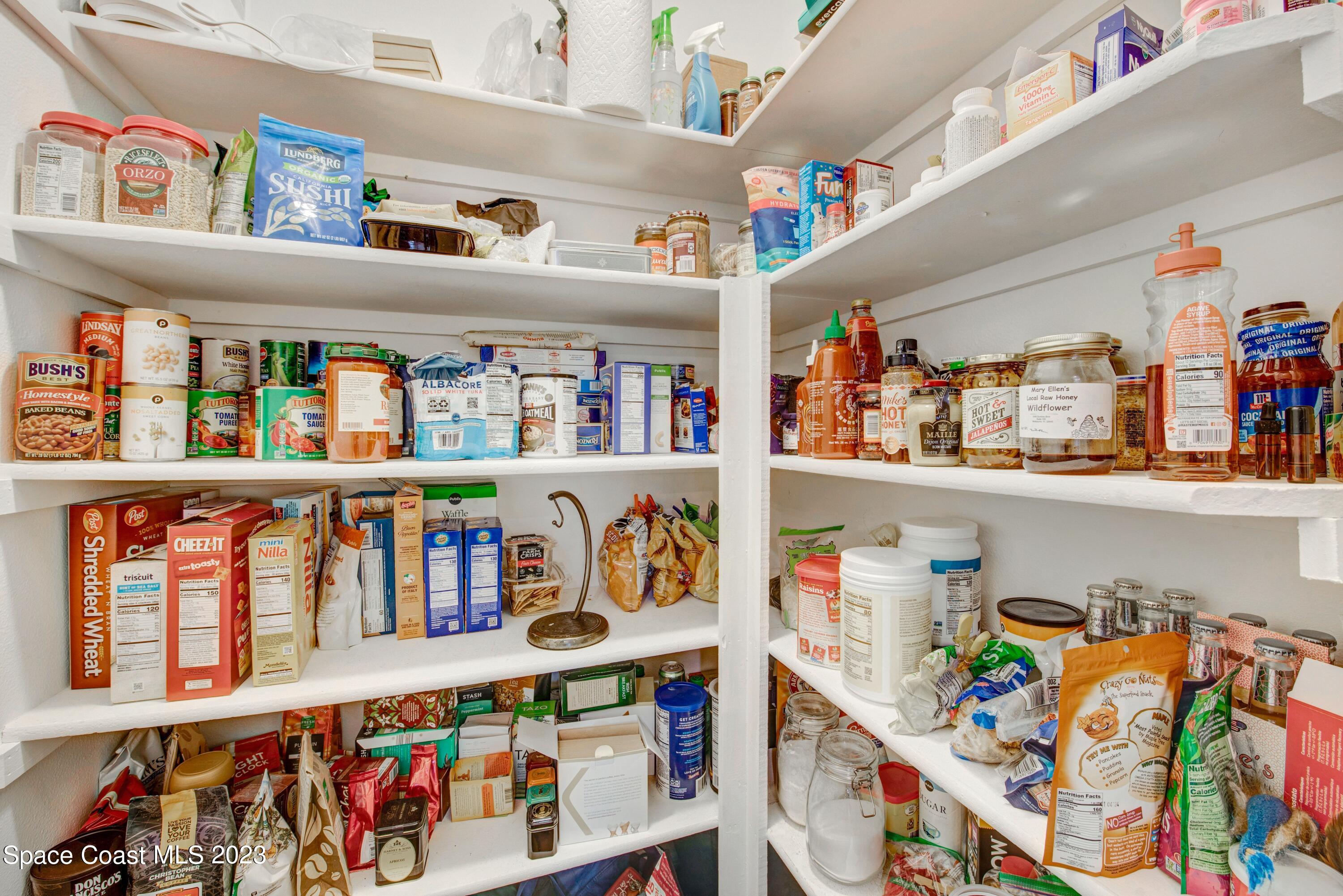 3665 Linnea Road Merritt Island, FL 32952 - Photo 14 of 40 3665 Linnea Rd MI Pantry V1