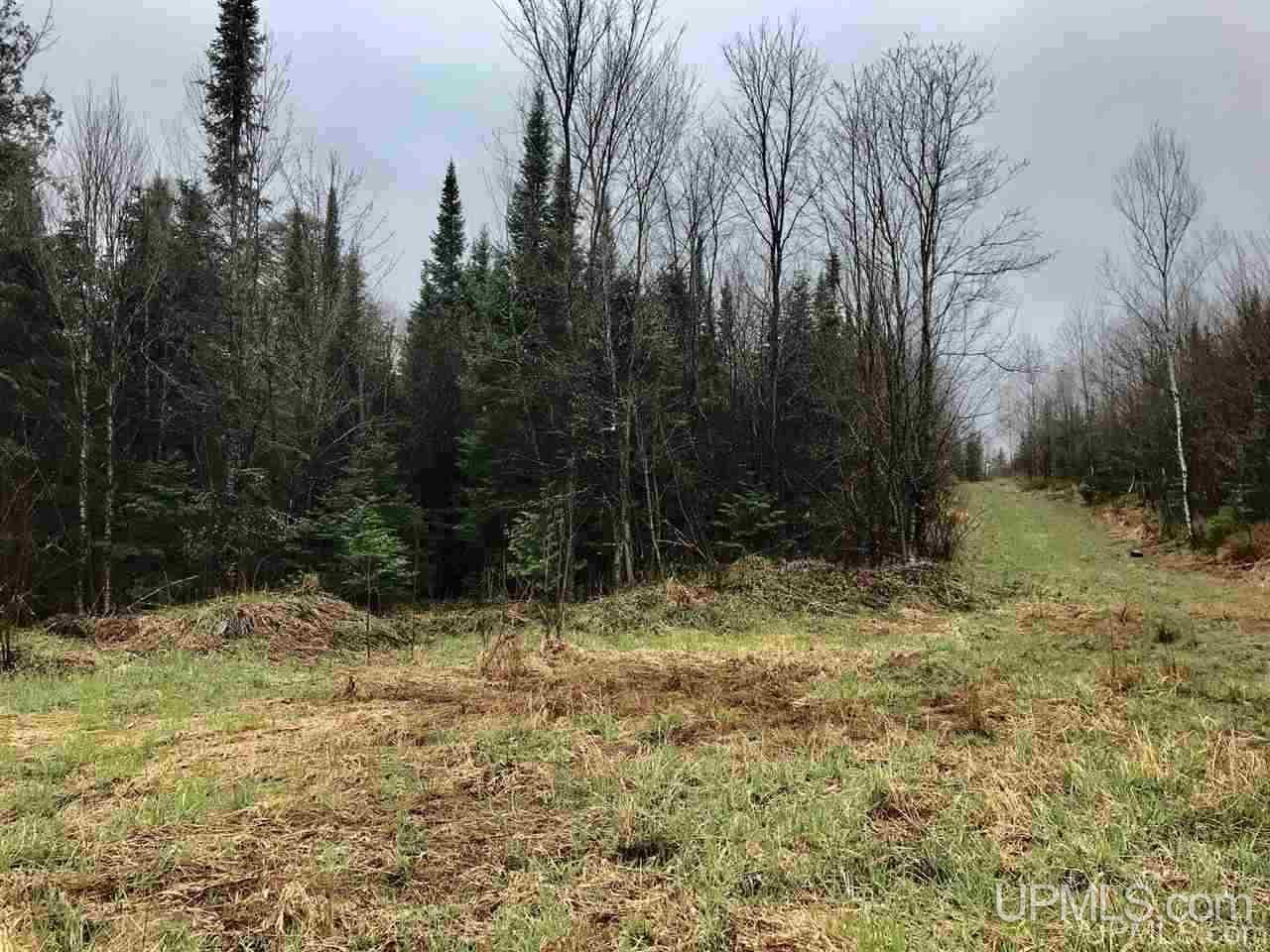 Tbd South Co Rd 519 Highway Bessemer, MI 49911 - Photo 2 of 10