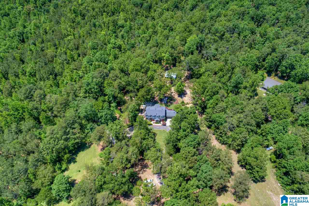 465 Old Hill Road Warrior, AL 35180 - Photo 5 of 50